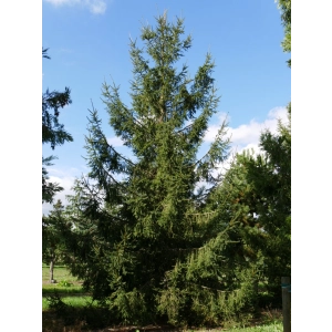 Organisatie Groningen