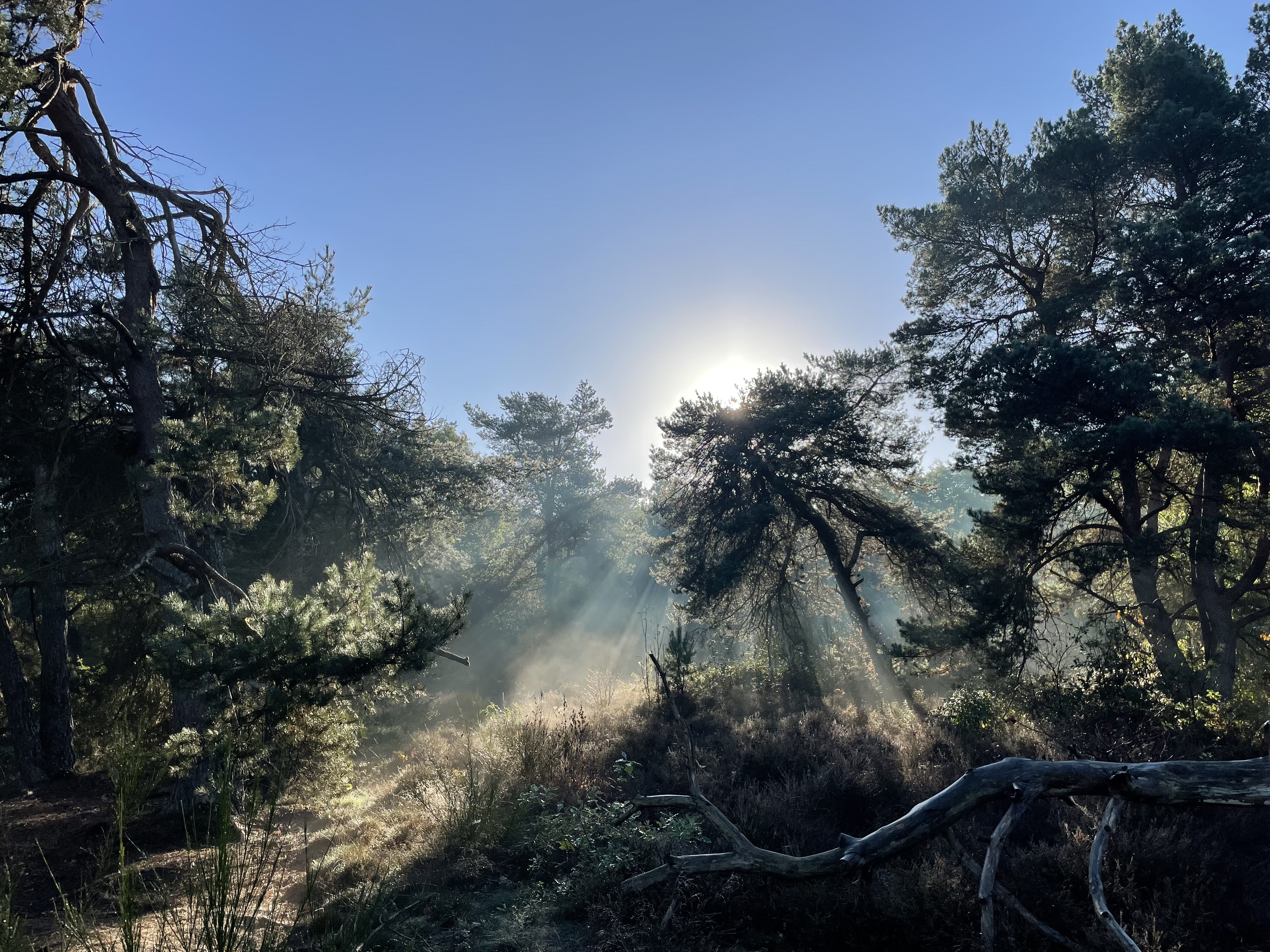 Voorbeeld account Webinar